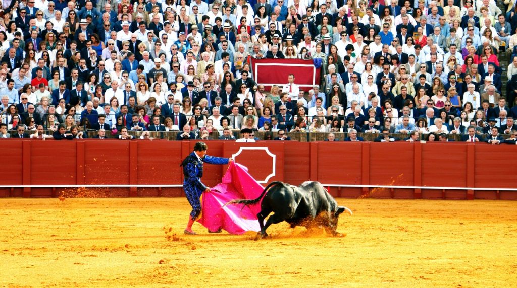 Spanje stierengevecht